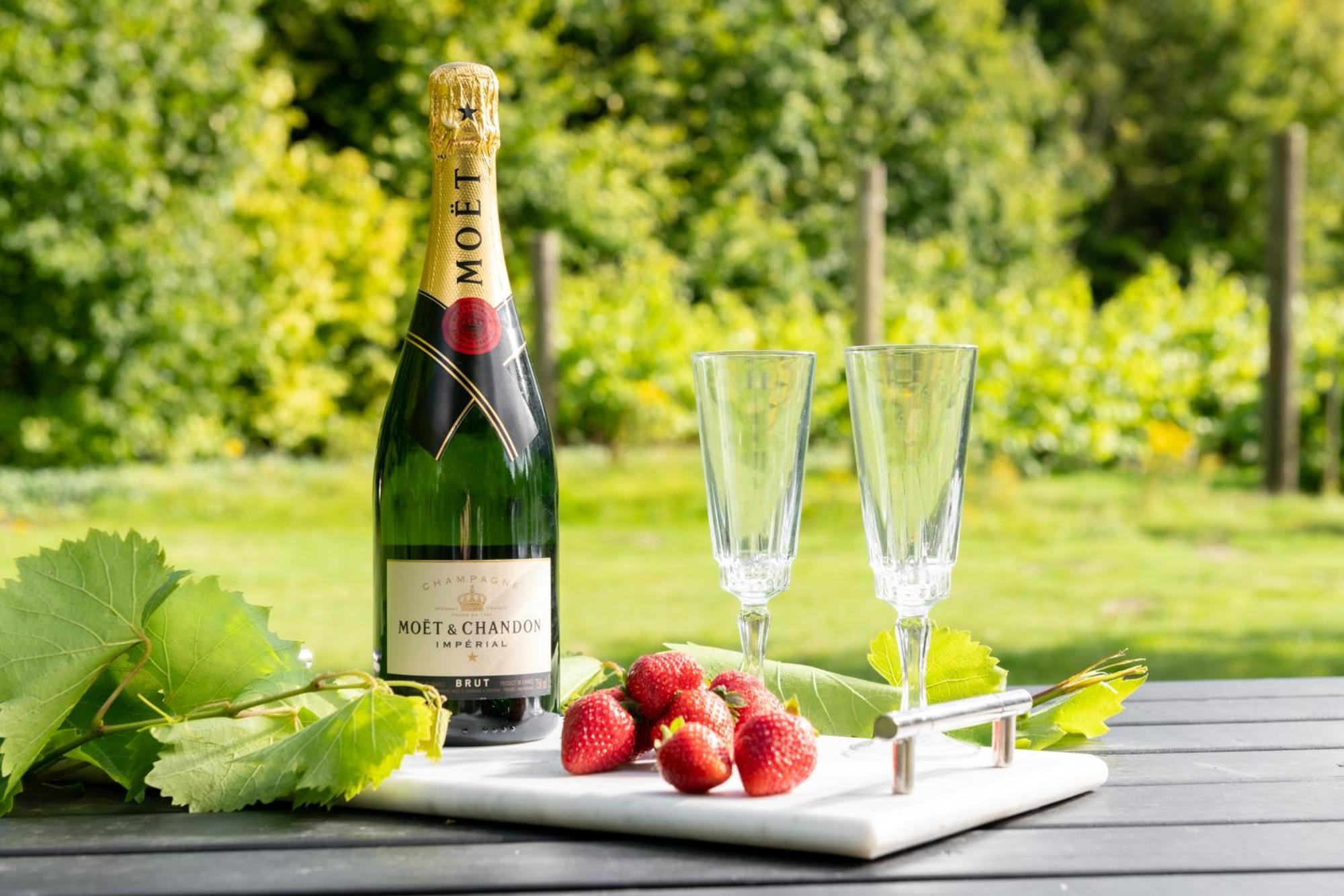 Downwood Vineyard Manor In Idyllic Countryside Villa Blandford Forum Exterior photo